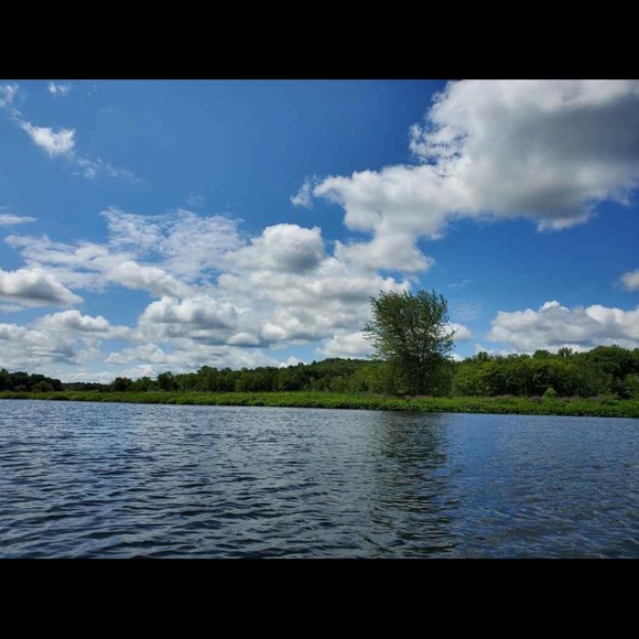 Meet your Posher, Amanda - Picture 5 of 7